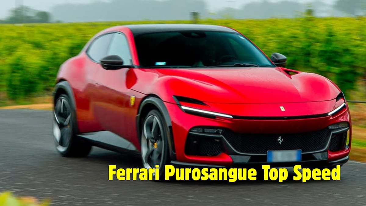 Ferrari Purosangue SUV, Image, Price, Top Speed